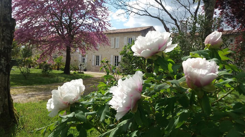 Bed and Breakfast Domaine Du Papillon Lesparre-Médoc Esterno foto